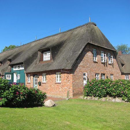 Nordseekrabbe 12 Herrenhof Wrixum エクステリア 写真